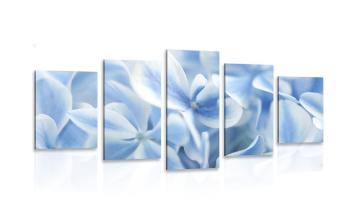 5-częściowy obraz niebiesko-białe kwiaty hortensji