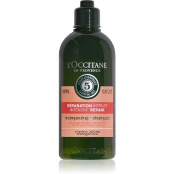 L’Occitane Aromachologie szampon intensywnie regenerujący do włosów suchych i zniszczonych 300 ml
