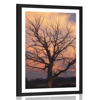 Plakat z passe-partout piękne drzewo na łące - 30x45 black