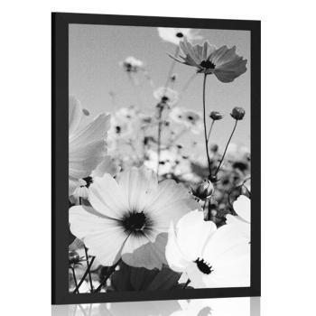 Plakat łąka wiosennych kwiatów w czerni i bieli - 30x45 silver