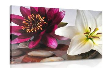 Obraz kwiaty w misie z kamieniami Zen