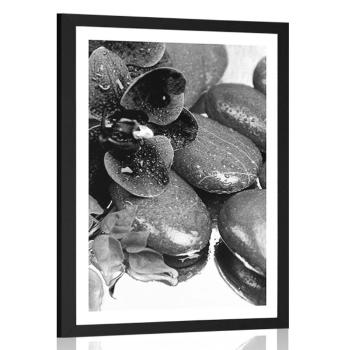 Plakat z passe-partout kwitnąca orchidea i kamienie wellness w czerni i bieli - 60x90 silver