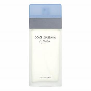 Dolce & Gabbana Light Blue woda toaletowa dla kobiet 100 ml