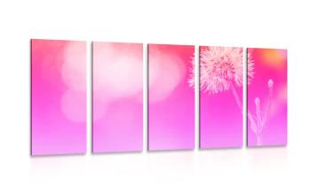 5-częściowy obraz mniszek lekarski na różowym tle - 100x50