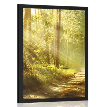 Plakat z passe-partout promienie słońca w lesie - 30x45 black