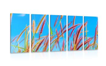 5-częściowy obraz dzika trawa pod błękitnym niebem - 100x50