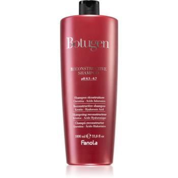 Fanola Botugen szampon regenerujący do włosów suchych i zniszczonych 1000 ml