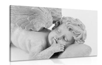 Obraz czarno-biały śpiący aniołek - 120x80