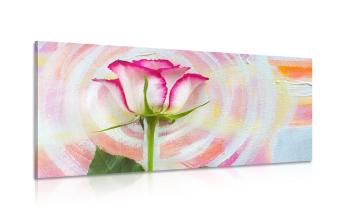 Obraz dwukolorowa róża na tęczowym płótnie - 100x50