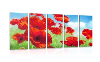5-częściowy obraz kwiaty maków na łące - 100x50