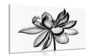 Obraz akwarela kwiat lotosu w wersji czarno-białej - 120x80