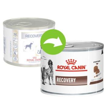 Royal Canin/ Feline Veterinary Diet RECOVERY konserwa - 195g