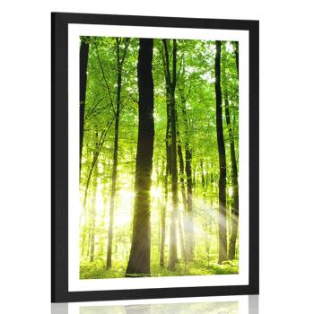Plakat z passe-partout bujny zielony las - 30x45 black