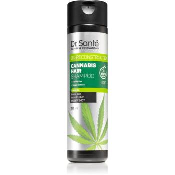 Dr. Santé Cannabis szampon regenerujący z olejkiem konopnym 250 ml