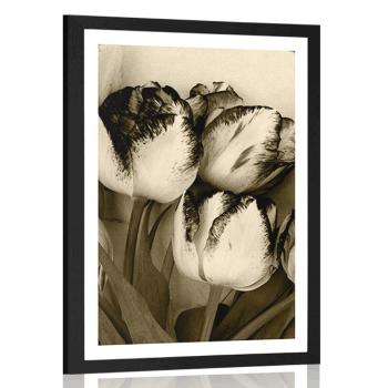 Plakat z passe-partout wiosenne tulipany w sepiowym kolorze - 30x45 black