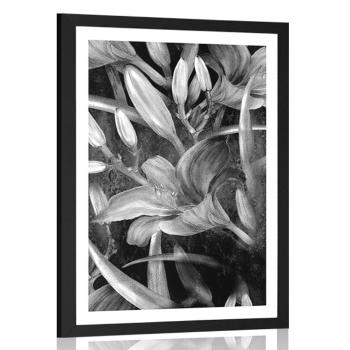 Plakat z passe-partout kwiat lilii w czerni i bieli - 60x90 white
