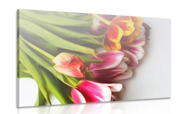 Obraz bukiet tulipanów w jasnych kolorach