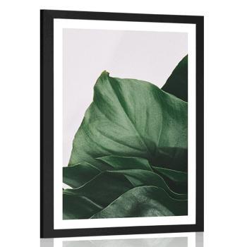 Plakat z passe-partout magiczny liść monstery - 40x60 black