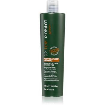 Inebrya Green szampon głęboko regenerujący do włosów farbowanych i zniszczonych 300 ml