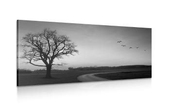 Obraz czarujące drzewo w wersji czarno-białej - 120x60
