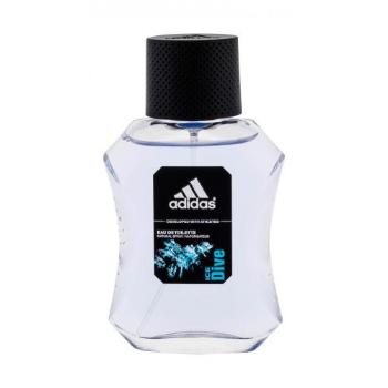 Adidas Ice Dive 50 ml woda toaletowa dla mężczyzn