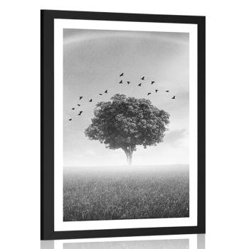 Plakat z passe-partout samotne drzewo na łące w czerni i bieli - 20x30 black