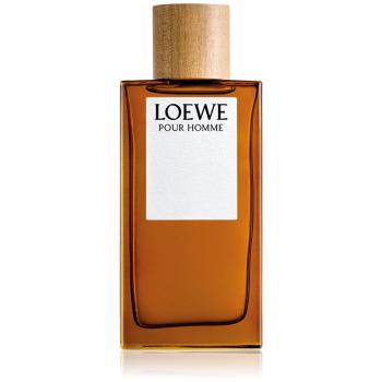 Loewe Loewe Pour Homme woda toaletowa dla mężczyzn 150 ml