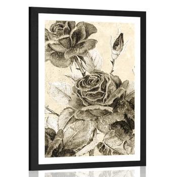 Plakat z passe-partout vintage bukiet róż w sepiowym kolorze - 20x30 white