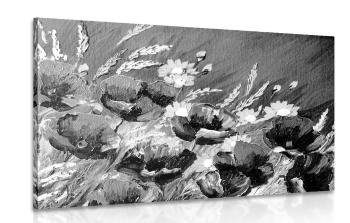 Obraz malowane maki polne w wersji czarno-białej