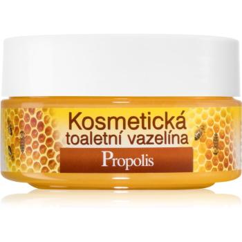 Bione Cosmetics Honey + Q10 wazelina kosmetyczna 155 ml