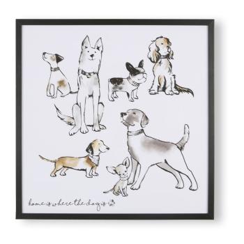 Plakat w ramie Art for the home Home Is Where The Dog Is, 50x50 cm