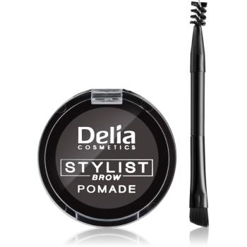 Delia Cosmetics Eyebrow Expert pomada do brwi odcień Graphite 4 g