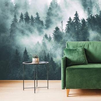 Fototapeta las w czarno-białej mgle
