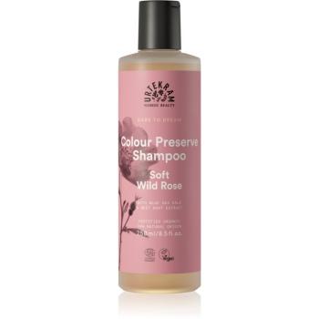 Urtekram Soft Wild Rose delikatny szampon do włosów farbowanych 250 ml