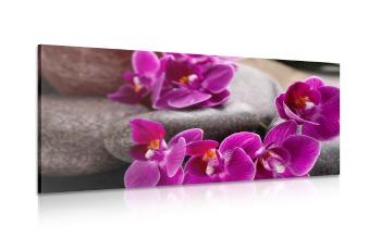 Obraz fioletowa orchidea i kamienie Zen - 100x50