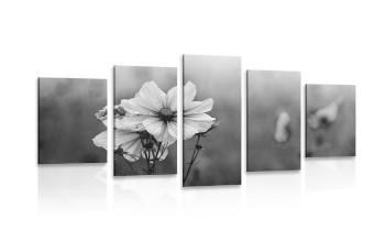 5-częściowy obraz kwitnący kwiat w wersji czarno-białej