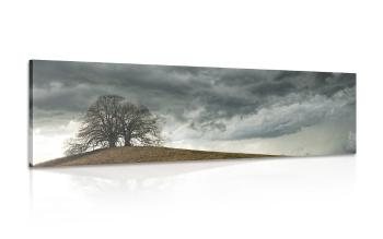 Obraz samotne drzewa - 135x45