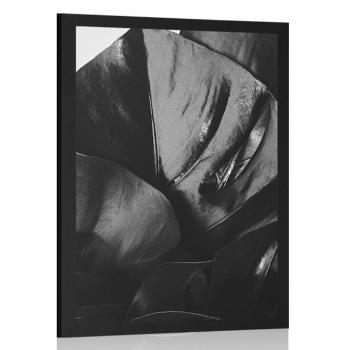 Plakat liść monstery w czerni i bieli - 60x90 black