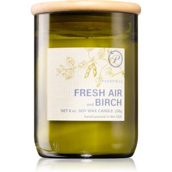 Paddywax Eco Green Fresh Air & Birch świeczka zapachowa 226 g