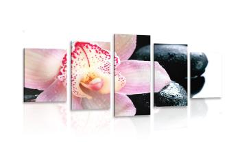5-częściowy obraz egzotyczna orchidea - 100x50