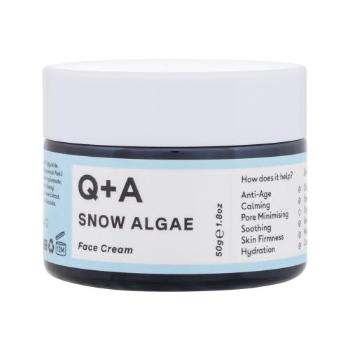 Q+A Snow Algae Intensive Face Cream 50 g krem do twarzy na dzień dla kobiet Uszkodzone pudełko
