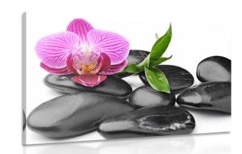 Obraz kamienie do masażu wellness