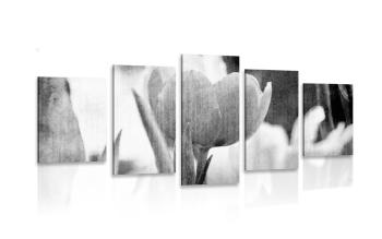 5-częściowy obraz łąka tulipanów w stylu retro w czarnobiałym kolorze
