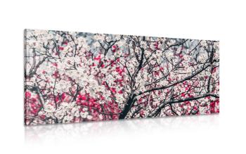 Obraz kwiaty brzoskwini - 120x60