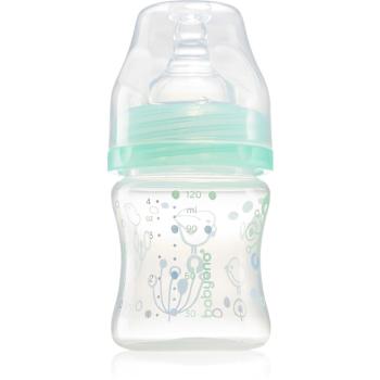 BabyOno Baby Bottle butelka dla noworodka i niemowlęcia antykolkowy 0m+ Mint 120 ml
