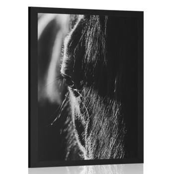 Plakat majestatyczny koń w czerni i bieli - 30x45 silver