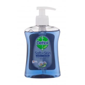 Dettol Soft On Skin Sea 250 ml mydło w płynie unisex