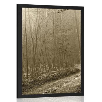 Plakat droga do lasu w kolorze sepiowym - 20x30 black
