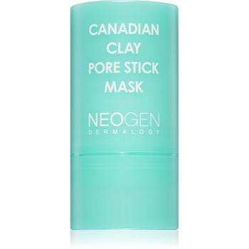 Neogen Dermalogy Canadian Clay Pore Stick Mask maseczka głęboko oczyszczająca do zmniejszenia porów 28 g
