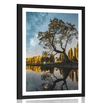 Plakat z passe-partout drzewo pod rozgwieżdżonym niebem